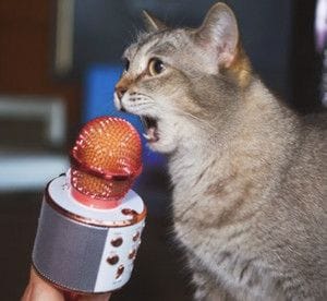 One Giant Karaoke Playlist