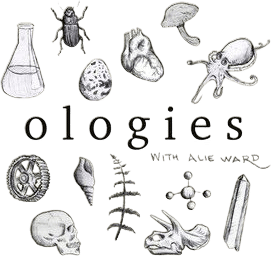 Ologies with Alie Ward: Menopause