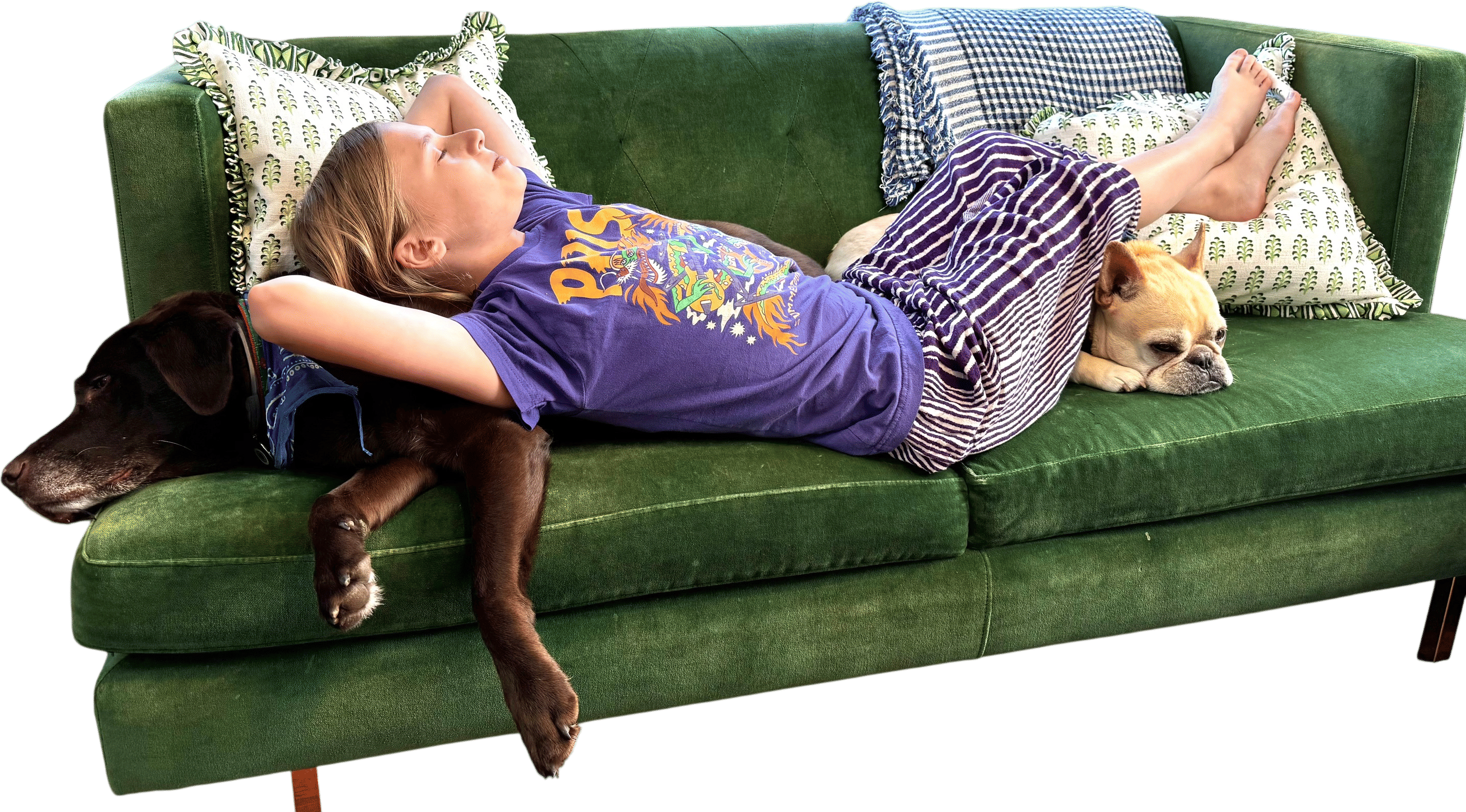 Relaxing with dogs
