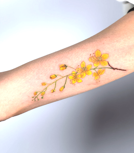 Members-Only Recommendation