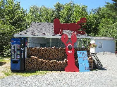 Rose Eden Lobster