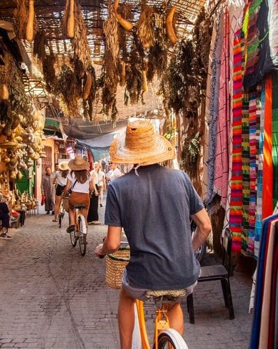 Pikala Bicycle Tours & Rentals 