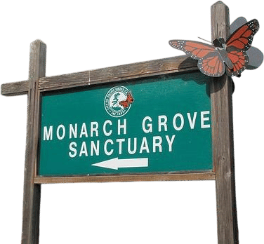 monarch butterfly sanctuary
