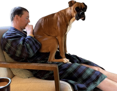 Getting a dog who doesnt believe in personal space