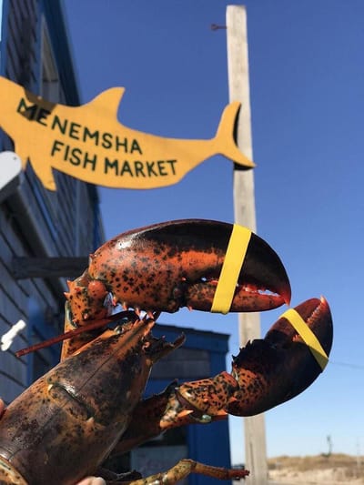 Menemsha Fish Market