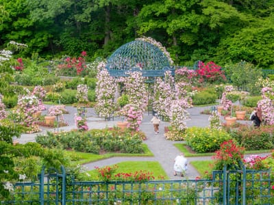 New York Botanical Garden