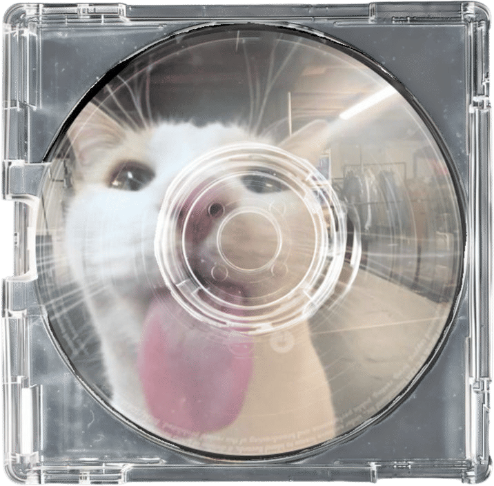 Playlists 