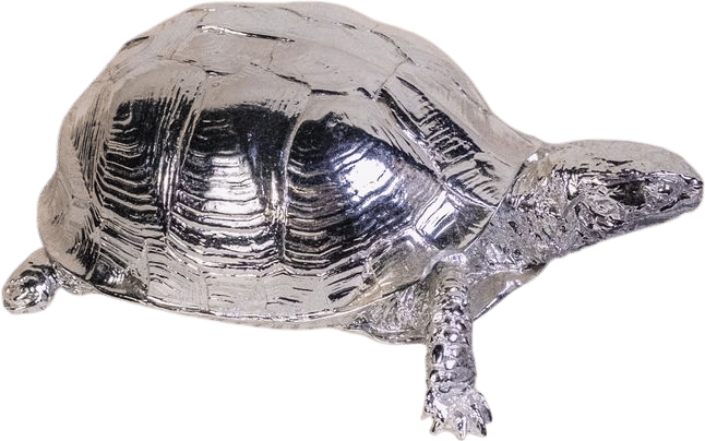 Harry Allen for Areaware Silver Chrome Turtle Trinket Box