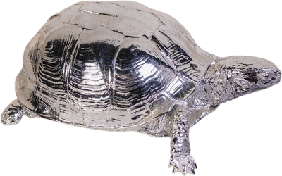 Turtle Box