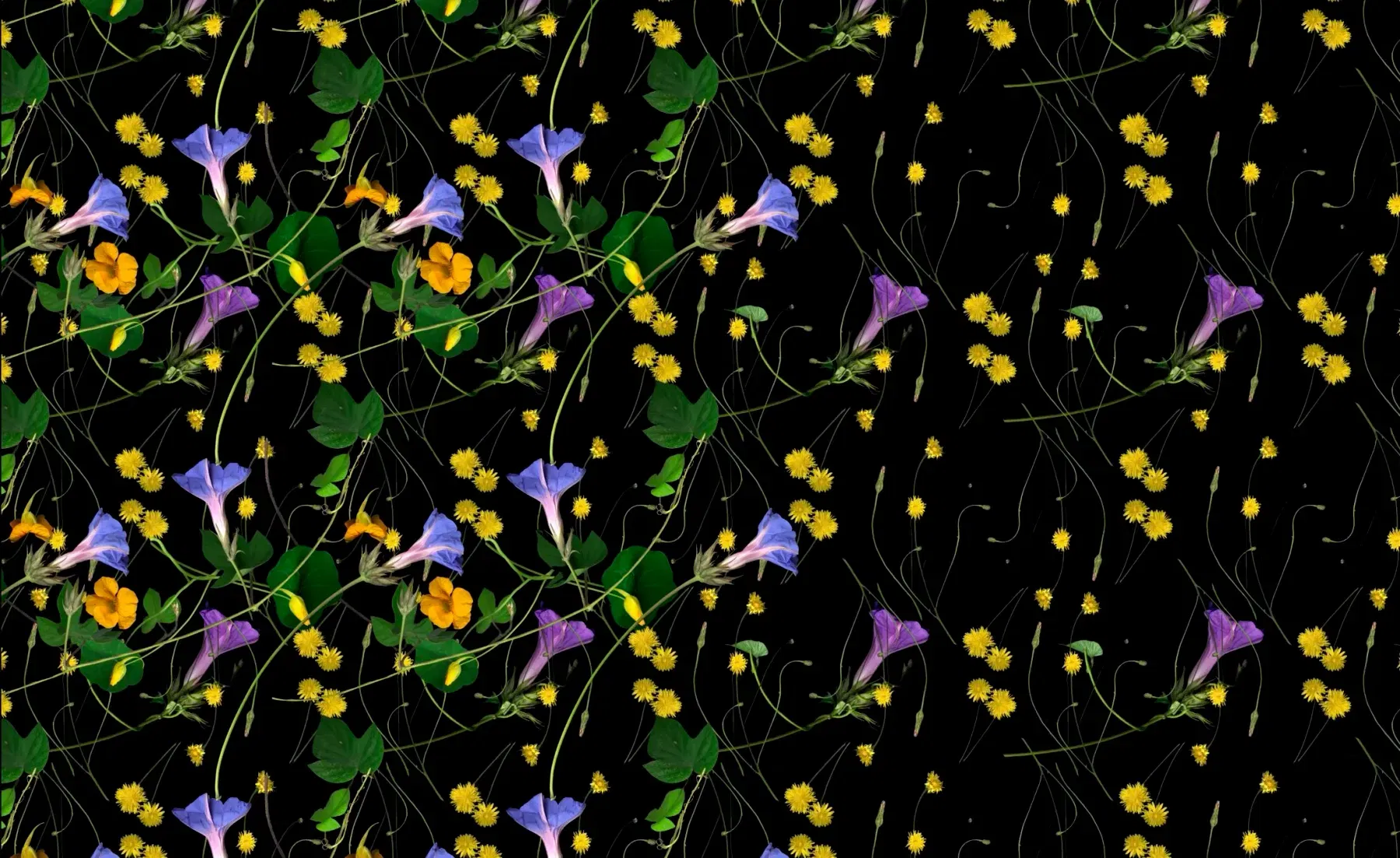 botanical wallpapers by artist kija lucas