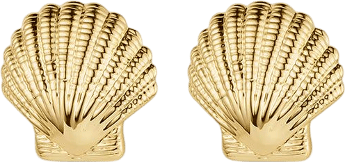 Shell Stud Earrings