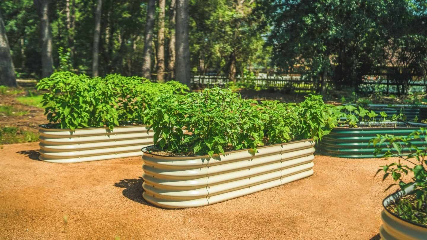 vego raised beds