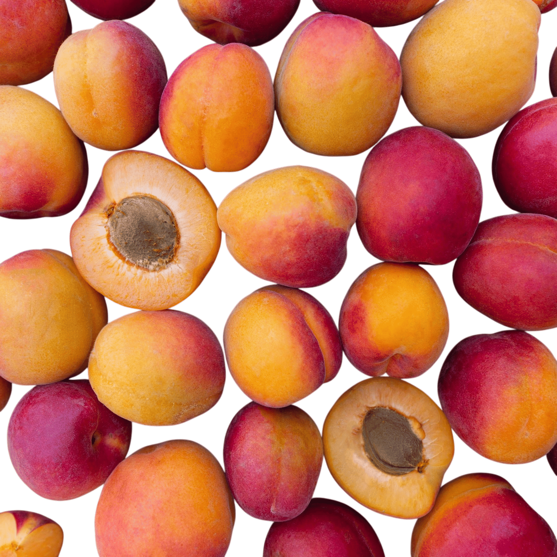 Frog Hollow Farm Apricot Club