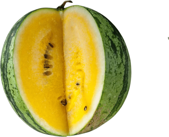 Fridgemelon