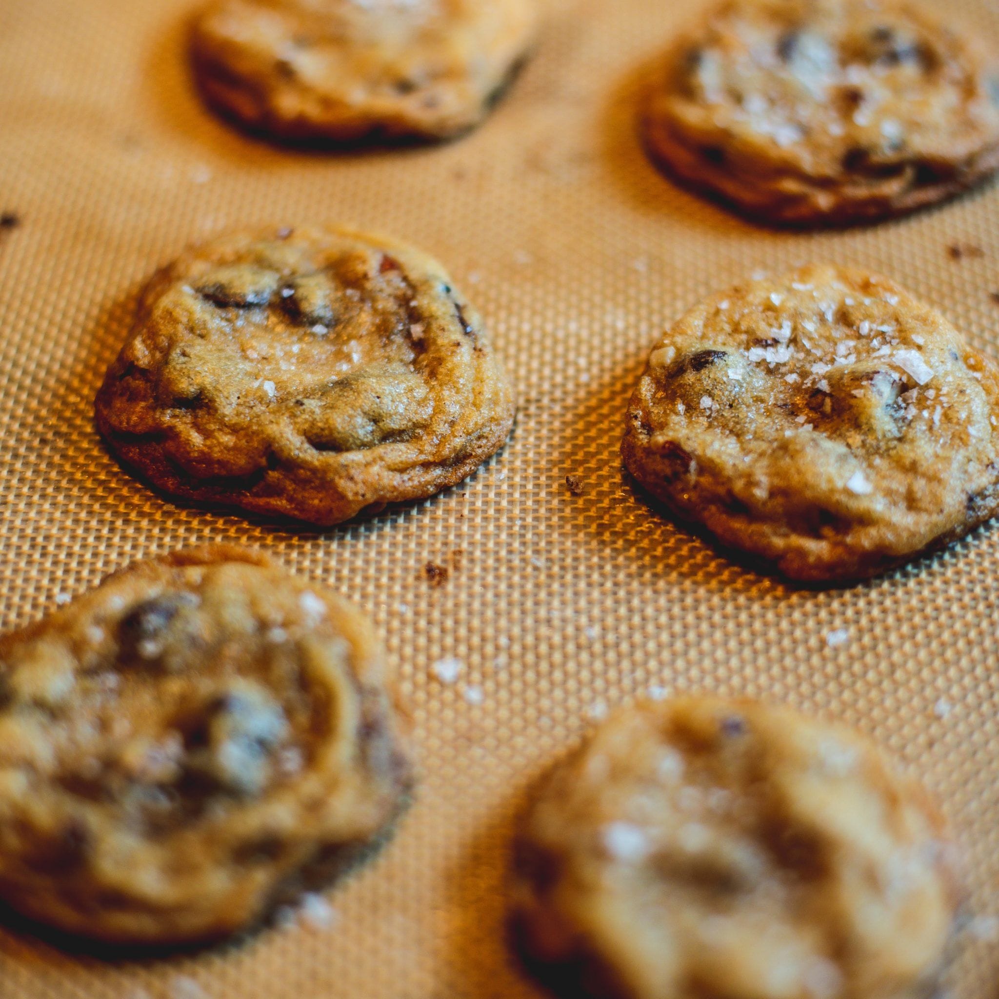 Jeffrey Morgenthaler Chocolate Chip Cookies
