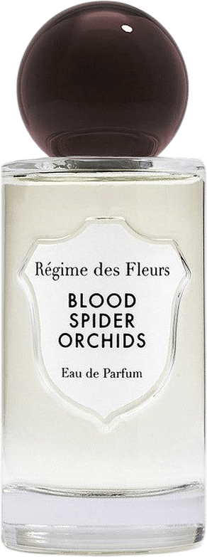 blood spider orchids by régime des fleurs