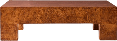 Scatola Square Burl Wood Coffee Table
