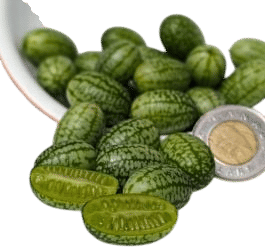 Cucamelon Seeds
