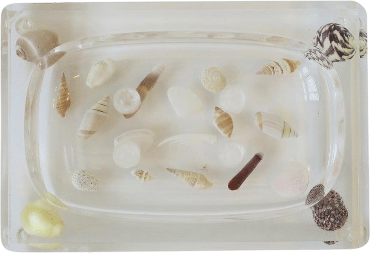 Seashell and Lucite Soap Dish