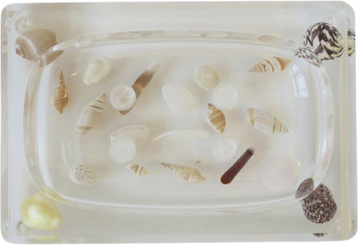 Seashell and Lucite Soap Dish