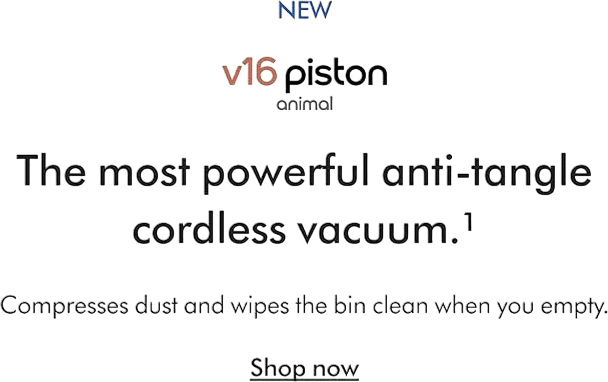 Dyson Vacuum