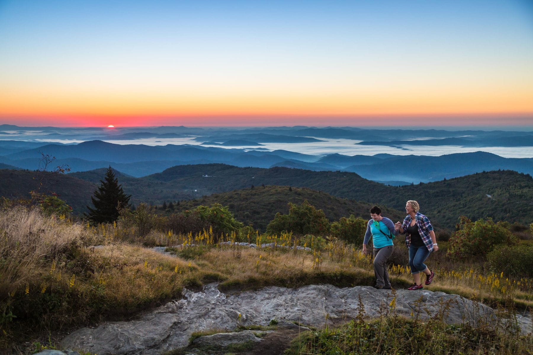 Black Balsam Knob
