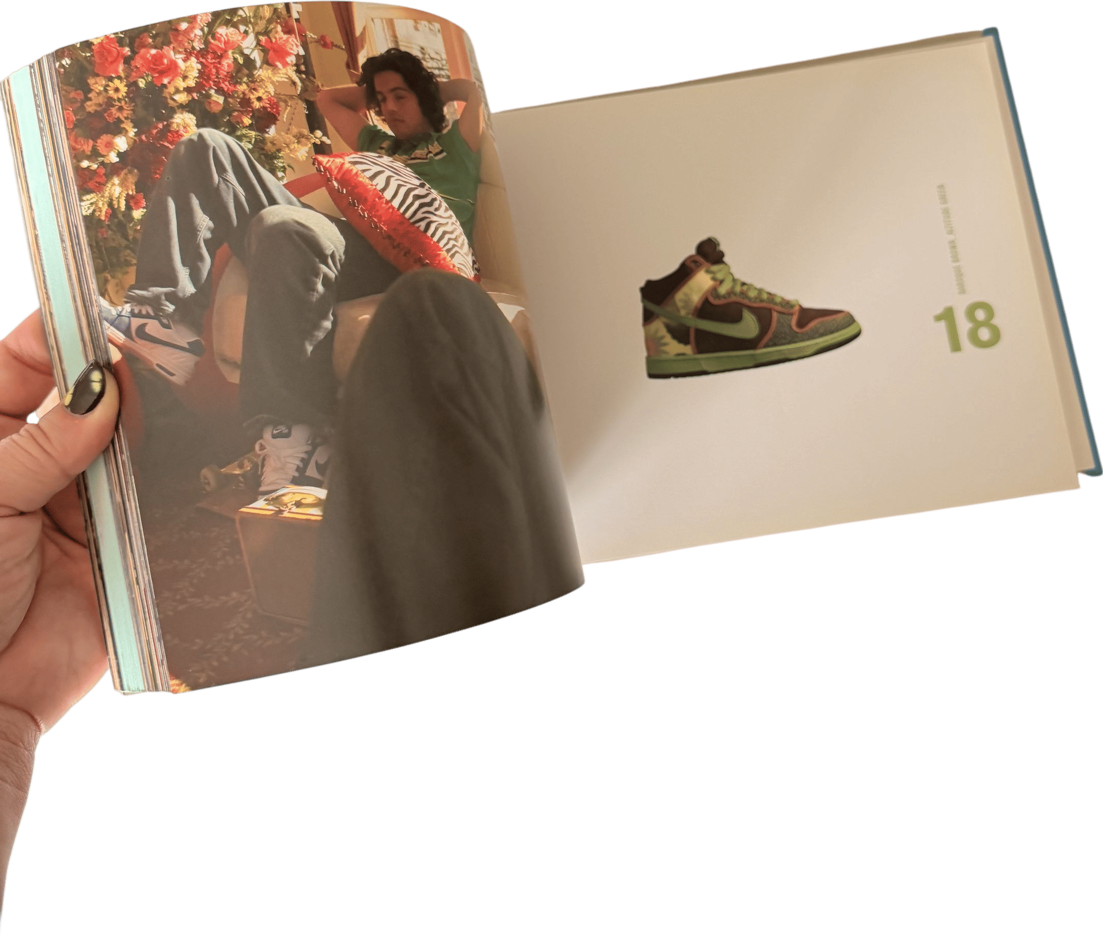 Nike SB- Nothing but the Truth