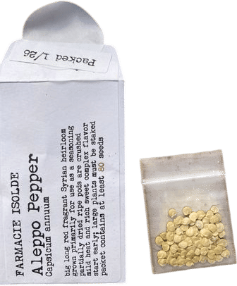 Aleppo Pepper Seeds