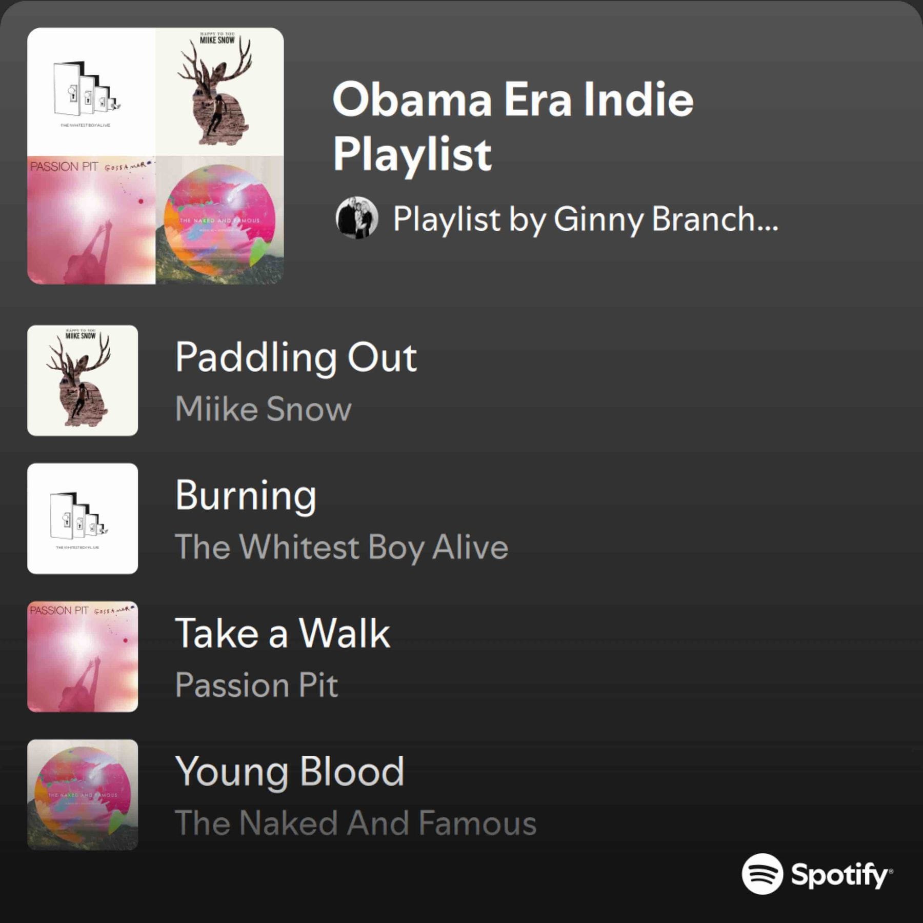 Obama Era Indie Sleaze