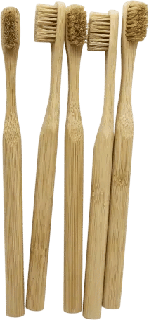 Boar Bristle Toothbrush