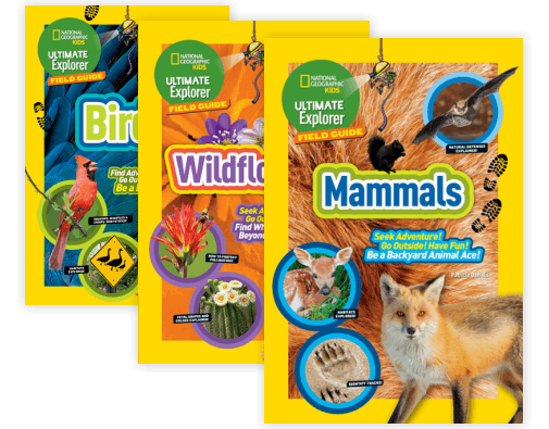 NGK Ultimate Explorer Field Guides