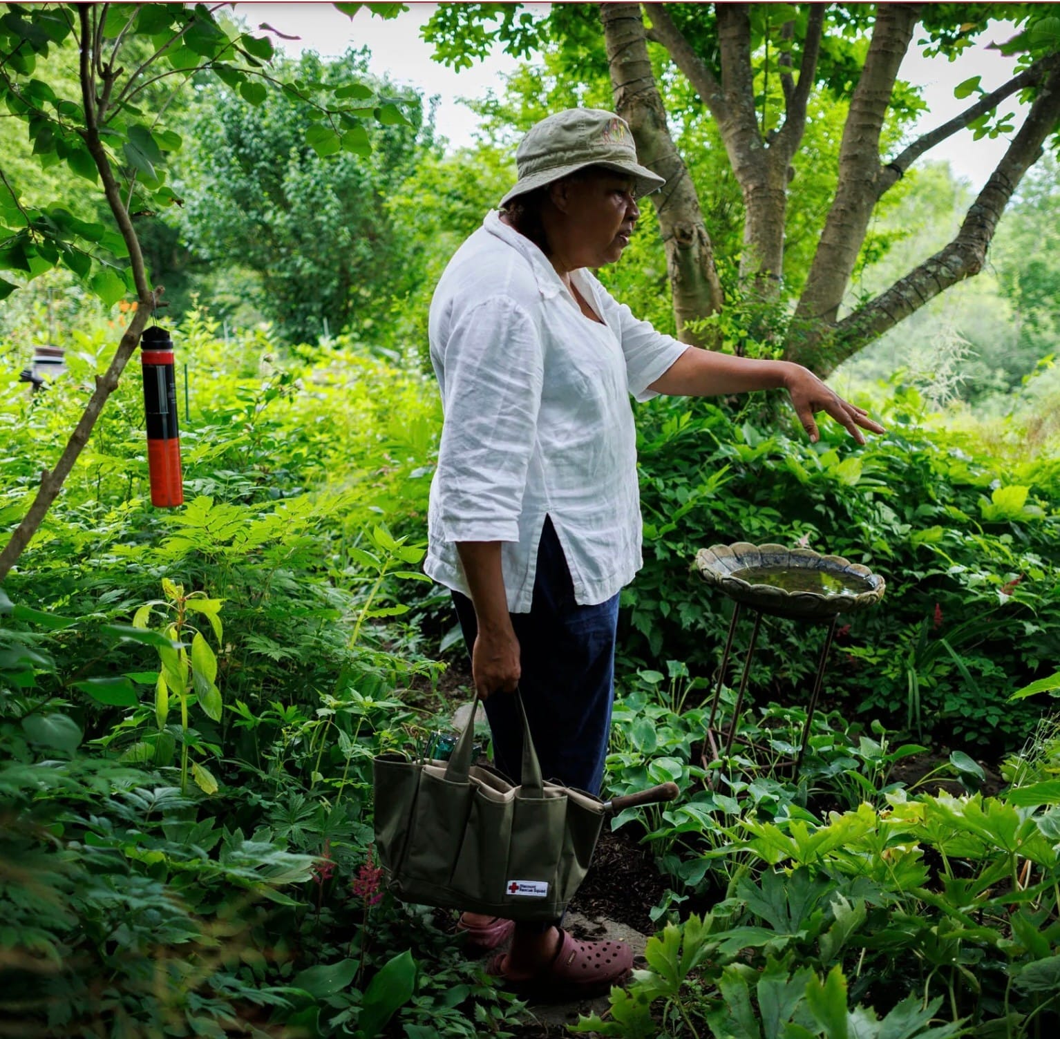 "The Kind of Gardener I Am Not," by Jamaica Kincaid, published in Book Post