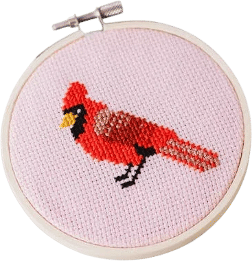 Cardinal Beginner Cross Stitch Kit
