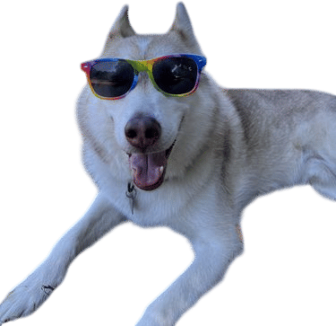 Not freaking huskies