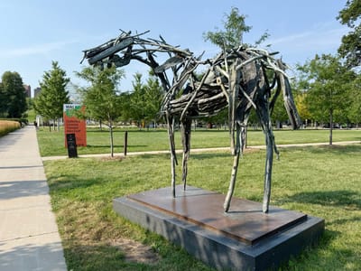 Woodrow