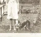 Vintage 1920s Photo: Girl with Boston Terrier