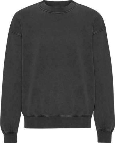 Organic Oversized Crew