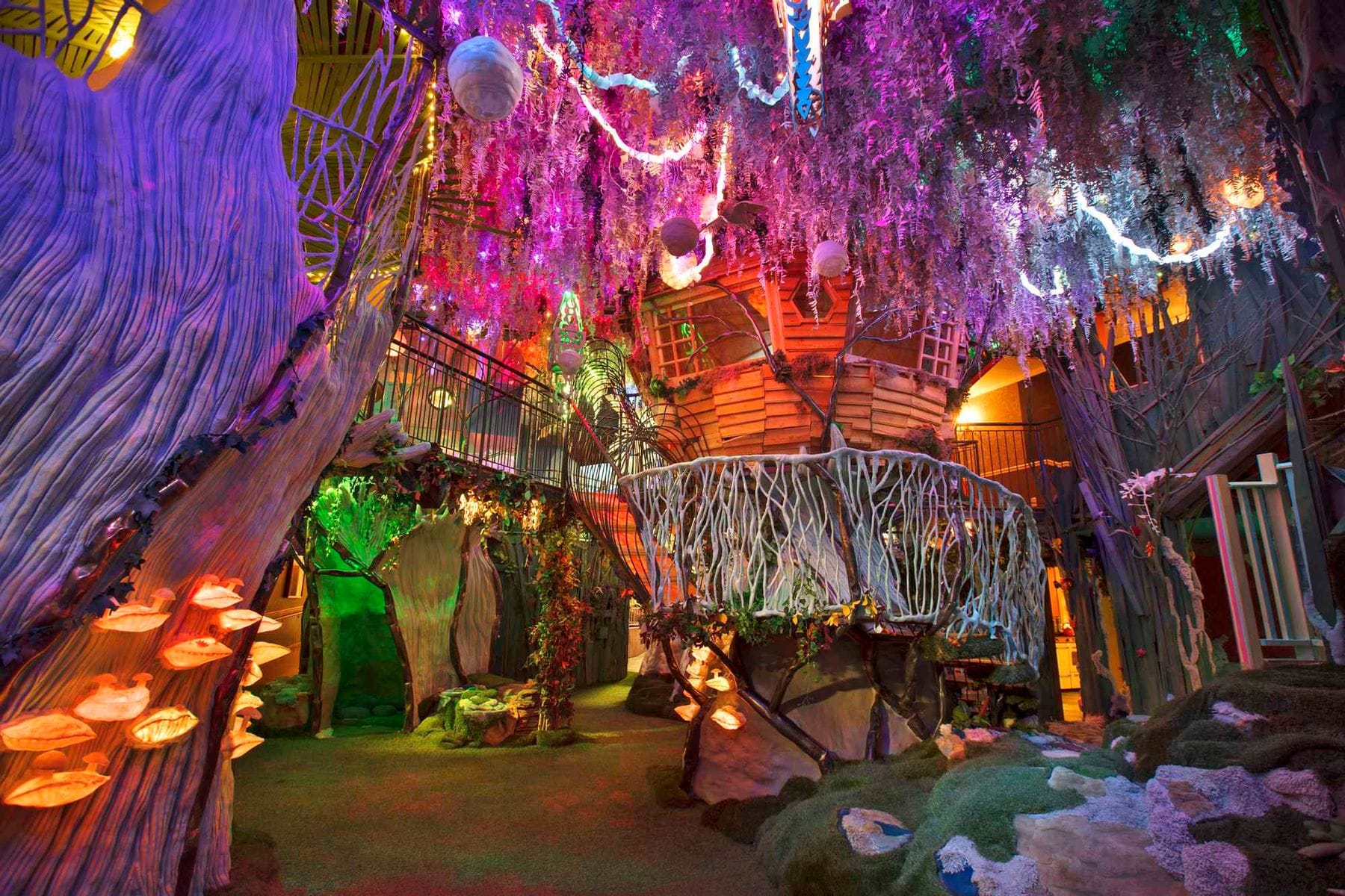 Meowwolf