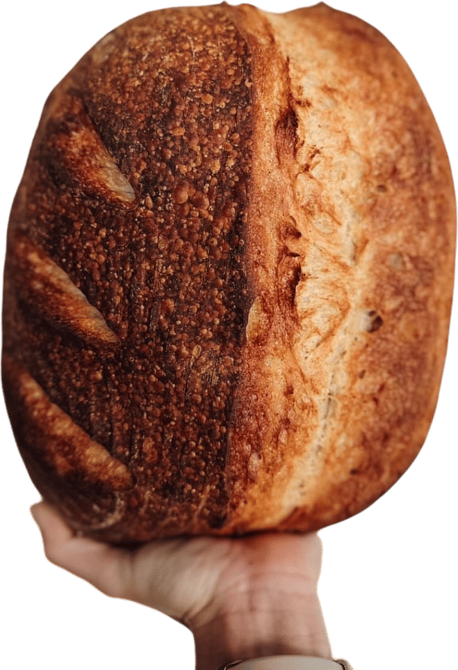 Secret Sister Bakery