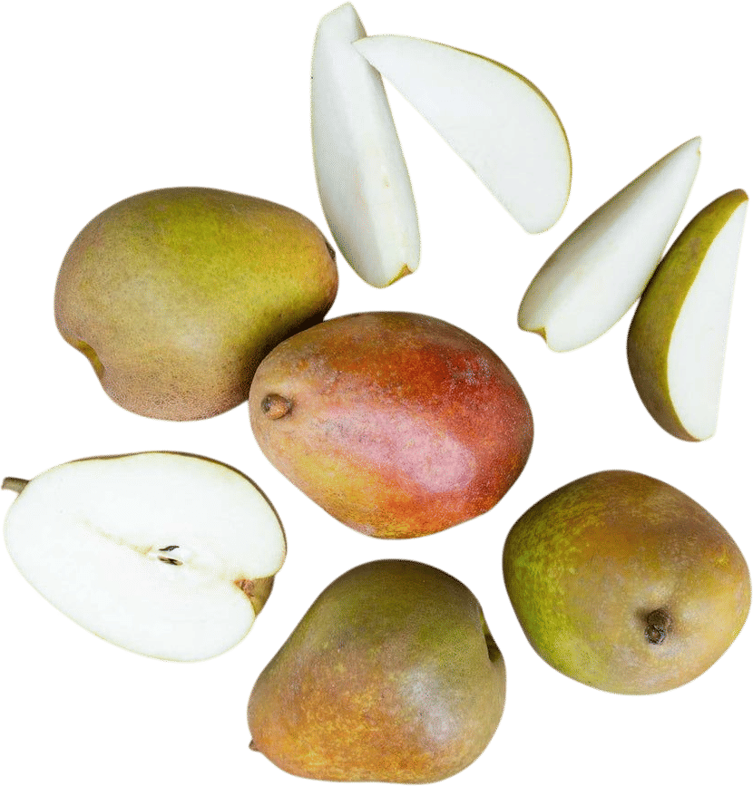 Frog Hollow Farm Warren Pears