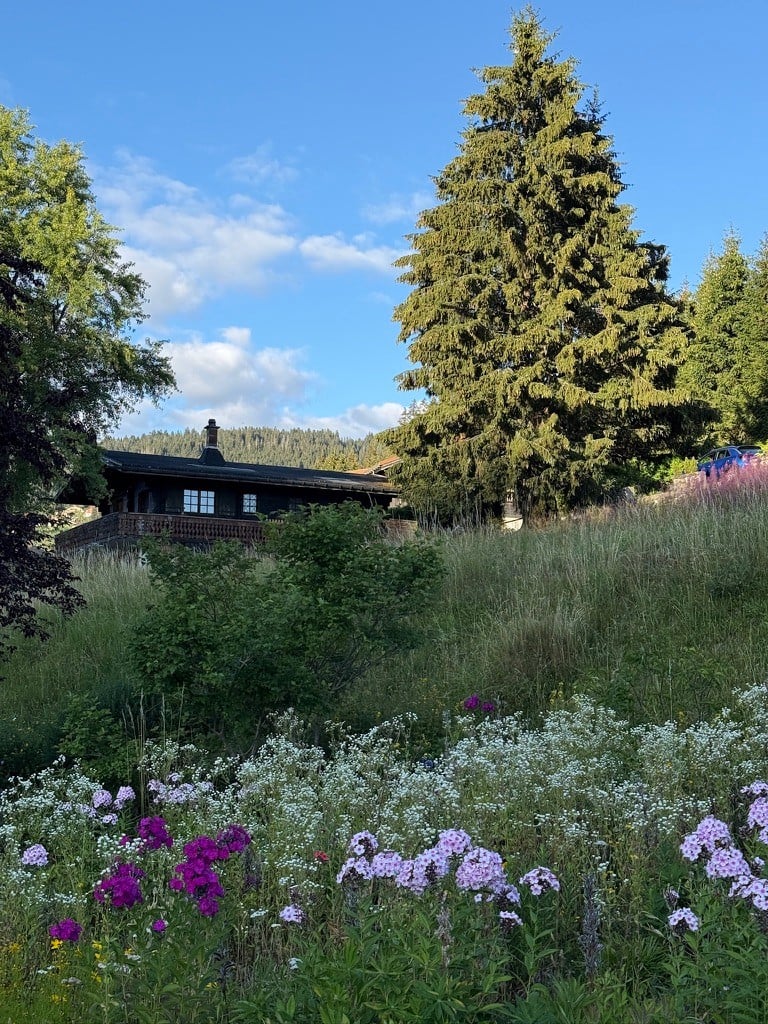 Late summer in the Alps