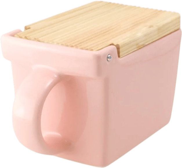 Bee House Salt Box