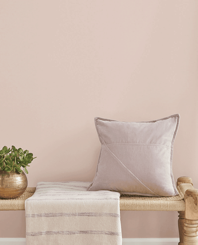 Abalone Shell Paint (SW 9084)
