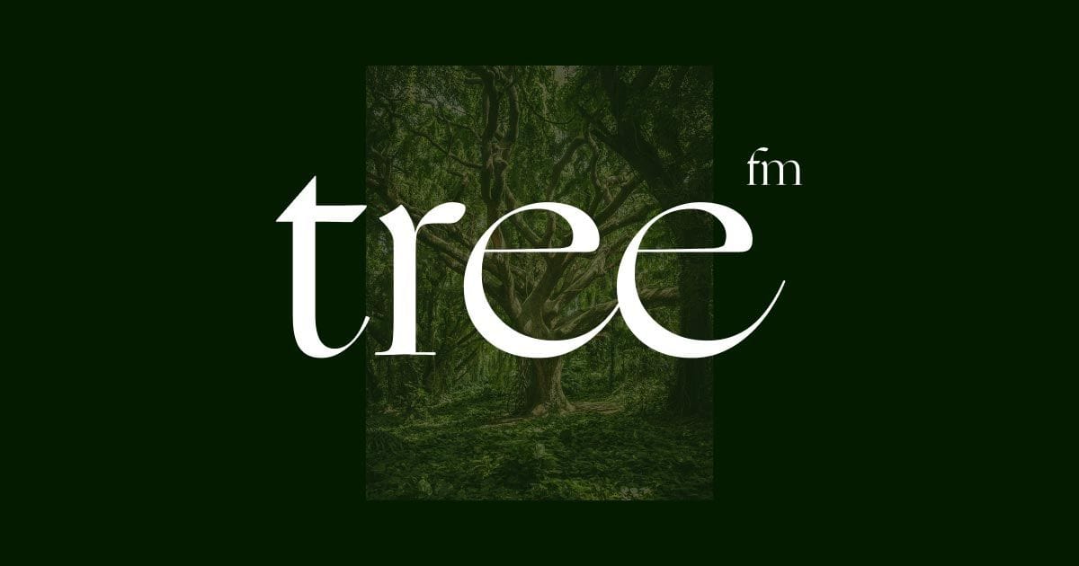 tree.fm – Tune Into Forests