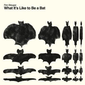 What It's Like to Be a Bat (Finn Streuper)