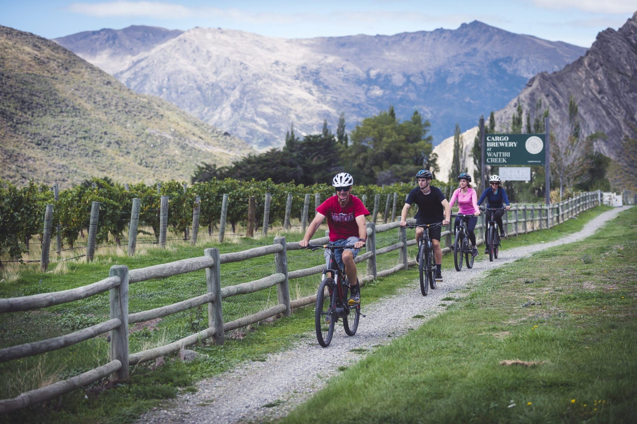 Around the Basin winery e-bike tour