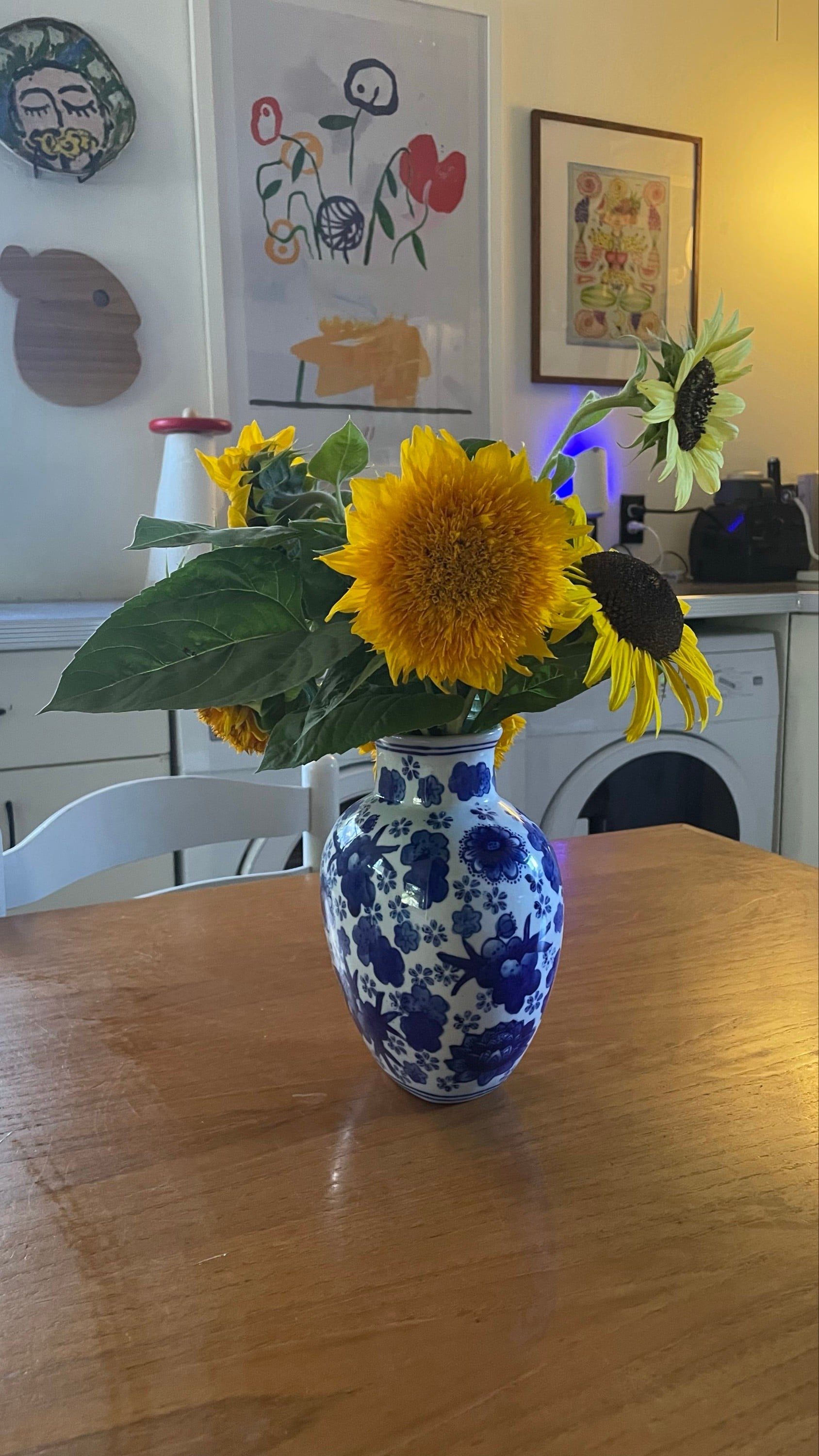 Planting sunflowers