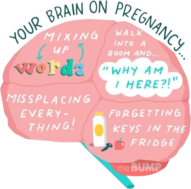 Pregnancy Brain Is Very Real