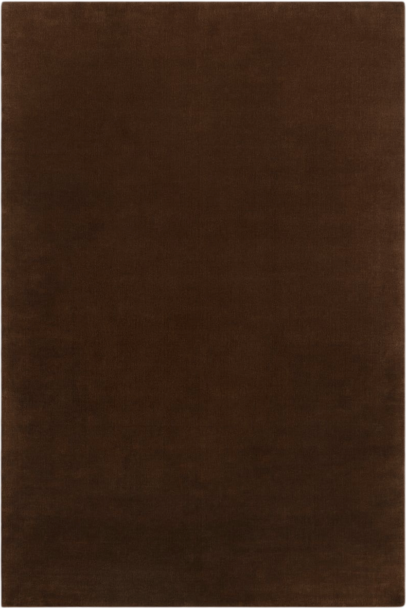 chocolate brown rug