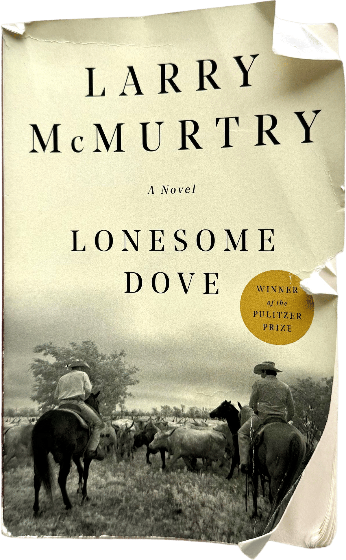 Lonesome Dove by Larry McMurtry
